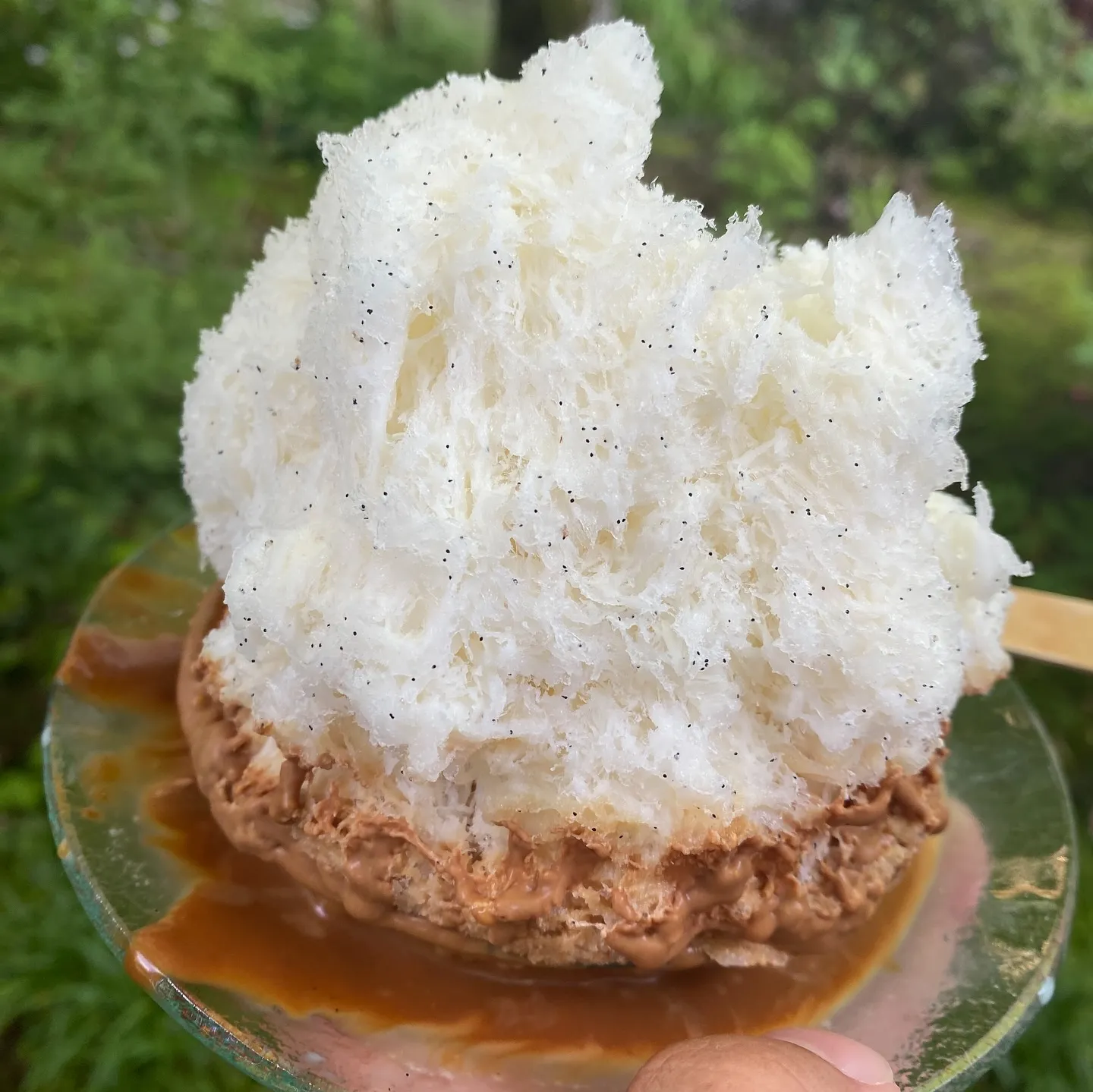 先日は